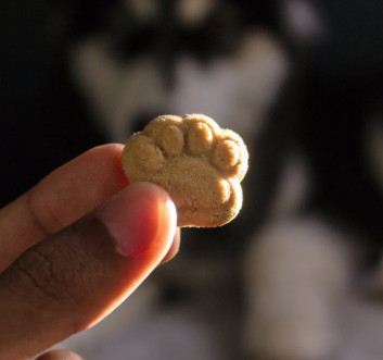 The Best Food for French Bulldogs